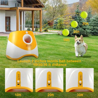 Dog Toy Tennis Ball Launcher: Keep Your Pet Active & Entertained - Big Ass Store