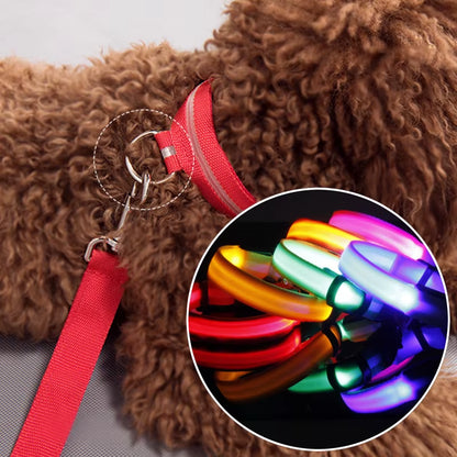 Pet Protective Dogs Luminous Fluorescent LED Flashing and Reflective Dog Collar