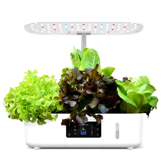 Hydroponics Growing System Indoor Garden Herb Garden Kit Indoor with LED Grow Light Quiet Smart Water Pump Automatic Timer Plant - Big Ass Store