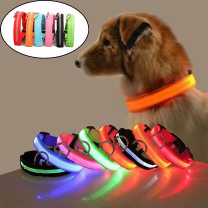 Pet Protective Dogs Luminous Fluorescent LED Flashing and Reflective Dog Collar