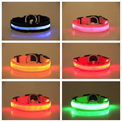 Pet Protective Dogs Luminous Fluorescent LED Flashing and Reflective Dog Collar